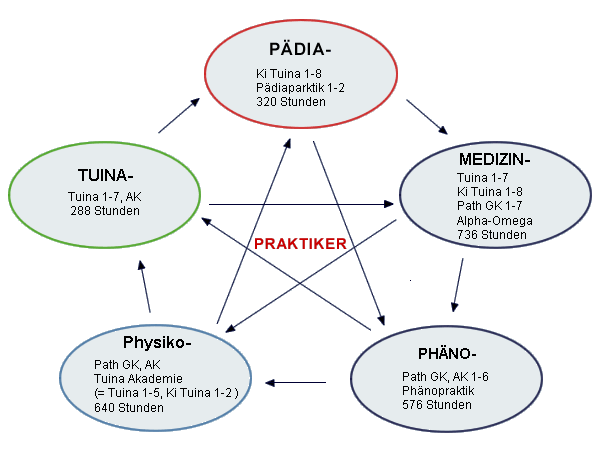 Berufsbilder der Path/Physikopraktik